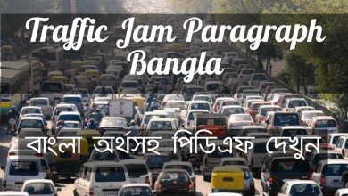 Traffic Jam Paragraph Bangla