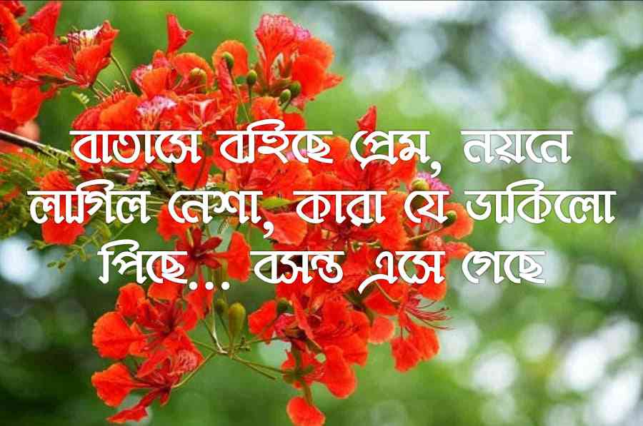 Bosonto Caption Bangla