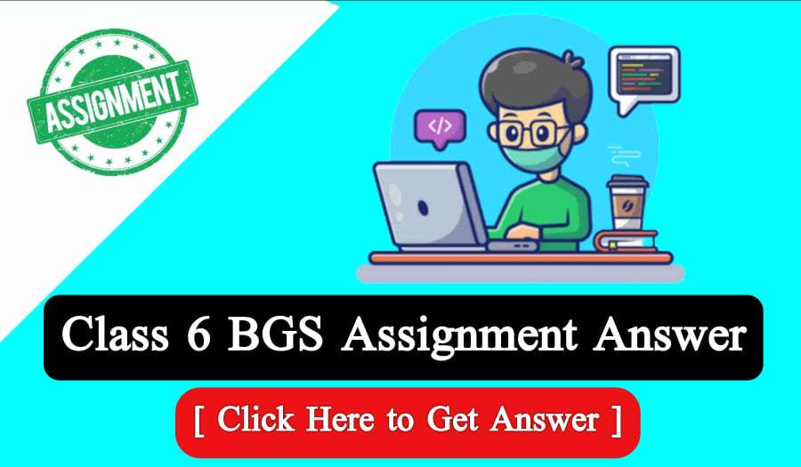 Class 6 BGS Assignment Answer