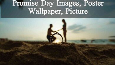 Promise Day Images, Poster, Wallpaper, Picture & Photos