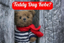 Teddy Day Kobe