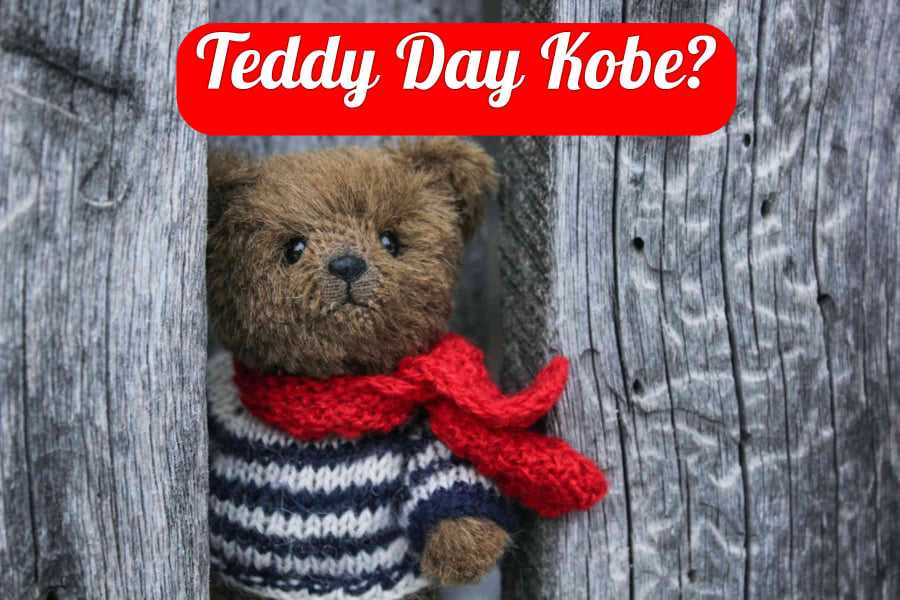 Teddy Day Kobe