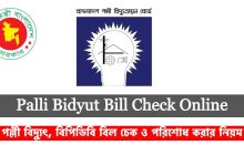 palli bidyut bil check online