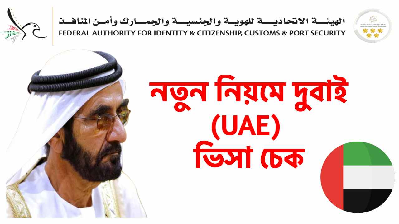 UAE visa check