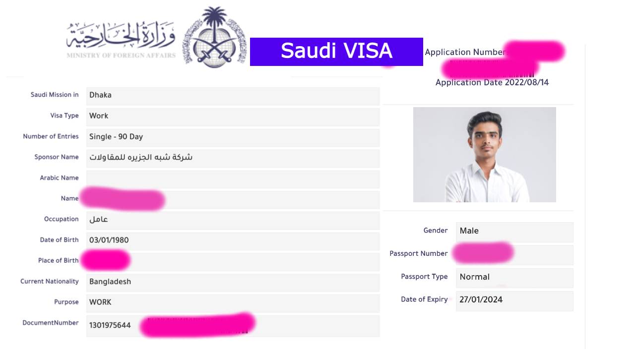 saudi arab visa check