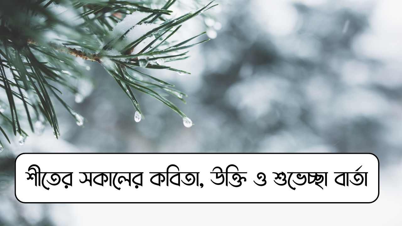 শীতের সকালের কবিতা, উক্তি ও শুভেচ্ছা বার্তা